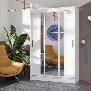 Шкаф-купе Тайм ШКК-03 (белый) в Заречном - zarechnyy.ok-mebel.com | фото
