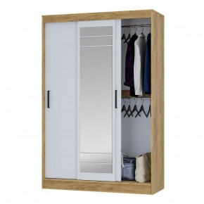 Шкаф-купе Тео ШКК-02 (крафт/белый) в Заречном - zarechnyy.ok-mebel.com | фото 3