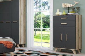 Шкаф низкий Вега Скандинавия в Заречном - zarechnyy.ok-mebel.com | фото 8