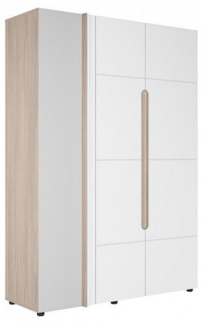 Шкаф платяной Данк в Заречном - zarechnyy.ok-mebel.com | фото