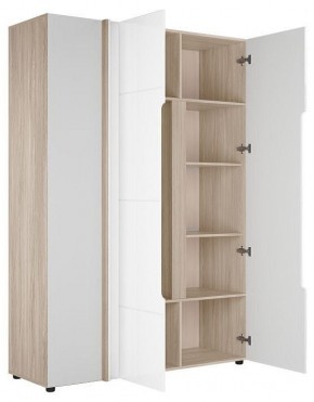 Шкаф платяной Данк в Заречном - zarechnyy.ok-mebel.com | фото 2