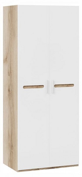 Шкаф платяной Фьюжн ТД-260.07.02 в Заречном - zarechnyy.ok-mebel.com | фото