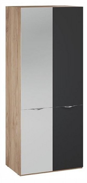 Шкаф платяной Глосс СМ-319.07.005 в Заречном - zarechnyy.ok-mebel.com | фото