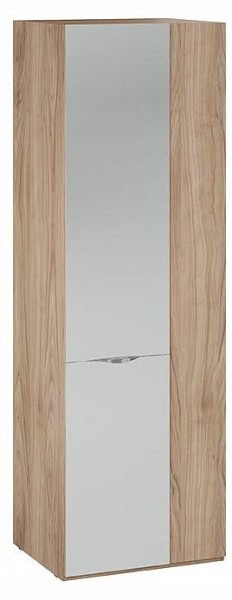 Шкаф платяной Глосс СМ-319.07.007 в Заречном - zarechnyy.ok-mebel.com | фото
