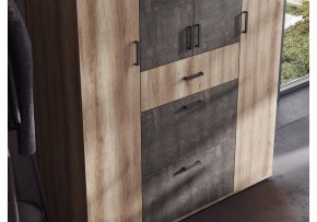 Шкаф платяной Паркинс в Заречном - zarechnyy.ok-mebel.com | фото 3
