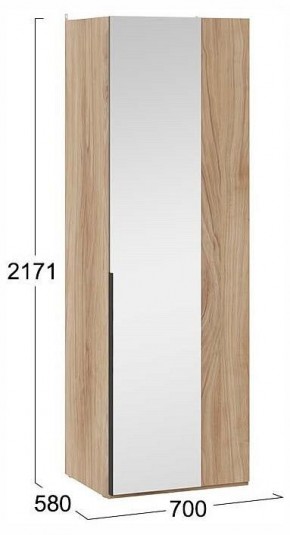 Шкаф платяной Порто СМ-393.07.007 в Заречном - zarechnyy.ok-mebel.com | фото 4