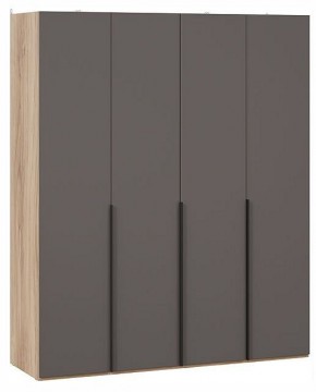 Шкаф платяной Порто СМ-393.07.110 в Заречном - zarechnyy.ok-mebel.com | фото
