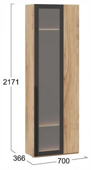 Шкаф платяной Порто СМ-393.07.233 в Заречном - zarechnyy.ok-mebel.com | фото 3