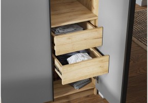 Шкаф платяной Широн в Заречном - zarechnyy.ok-mebel.com | фото 3
