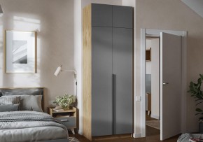 Шкаф платяной Широн в Заречном - zarechnyy.ok-mebel.com | фото 4