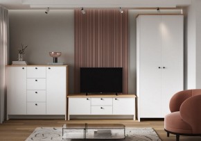 Шкаф платяной Теодора в Заречном - zarechnyy.ok-mebel.com | фото 4