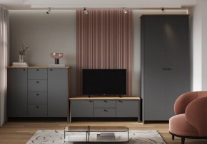 Шкаф платяной Теодора в Заречном - zarechnyy.ok-mebel.com | фото 3