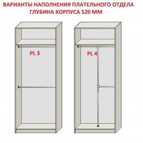 Шкаф распашной серия «ЗЕВС» (PL3/С1/PL2) в Заречном - zarechnyy.ok-mebel.com | фото 10