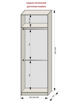 Шкаф распашной серия «ЗЕВС» (PL3/С1/PL2) в Заречном - zarechnyy.ok-mebel.com | фото 12