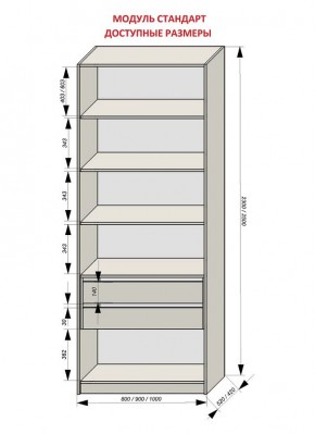 Шкаф распашной серия «ЗЕВС» (PL3/С1/PL2) в Заречном - zarechnyy.ok-mebel.com | фото 13