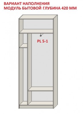 Шкаф распашной серия «ЗЕВС» (PL3/С1/PL2) в Заречном - zarechnyy.ok-mebel.com | фото 4