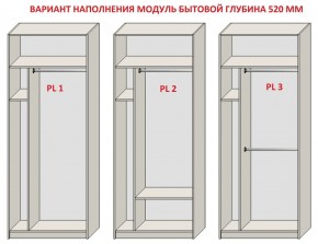 Шкаф распашной серия «ЗЕВС» (PL3/С1/PL2) в Заречном - zarechnyy.ok-mebel.com | фото 5