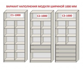 Шкаф распашной серия «ЗЕВС» (PL3/С1/PL2) в Заречном - zarechnyy.ok-mebel.com | фото 7