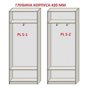 Шкаф распашной серия «ЗЕВС» (PL3/С1/PL2) в Заречном - zarechnyy.ok-mebel.com | фото 8