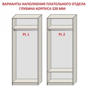 Шкаф распашной серия «ЗЕВС» (PL3/С1/PL2) в Заречном - zarechnyy.ok-mebel.com | фото 9