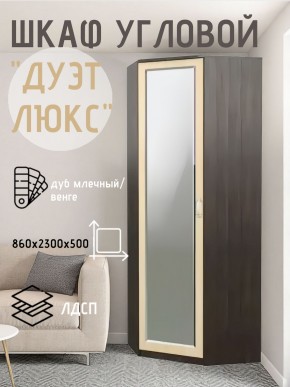 Шкаф угловой Дуэт Люкс с зеркалом в Заречном - zarechnyy.ok-mebel.com | фото 5