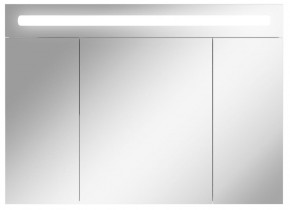 Шкаф-зеркало Аврора 100 с подсветкой LED Домино (DV8012HZ) в Заречном - zarechnyy.ok-mebel.com | фото