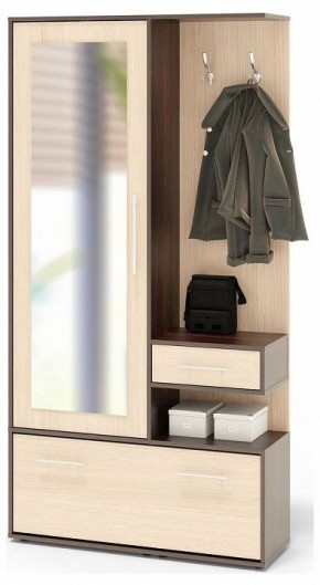Стенка для прихожей ВШ-6 в Заречном - zarechnyy.ok-mebel.com | фото