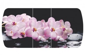 Стол Бостон-3 (Розовая Орхидея) 1100/1420*700, опора Брифинг в Заречном - zarechnyy.ok-mebel.com | фото 2