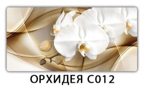 Стол раздвижной Трилогия с фотопечатью Орхидея C012 в Заречном - zarechnyy.ok-mebel.com | фото 13