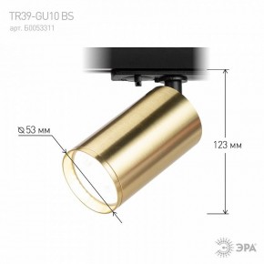 Светильник на штанге Эра  TR39-GU10 BS в Заречном - zarechnyy.ok-mebel.com | фото 6