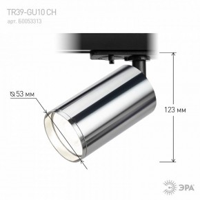 Светильник на штанге Эра  TR39-GU10 СН в Заречном - zarechnyy.ok-mebel.com | фото 7