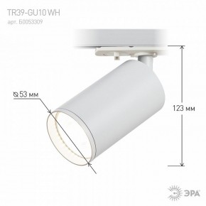 Светильник на штанге Эра  TR39-GU10 WH в Заречном - zarechnyy.ok-mebel.com | фото 7