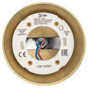 Светильник на штанге Эра  TR42-GX53 BS в Заречном - zarechnyy.ok-mebel.com | фото 5