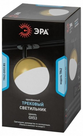 Светильник на штанге Эра  TR42-GX53 BS в Заречном - zarechnyy.ok-mebel.com | фото 6