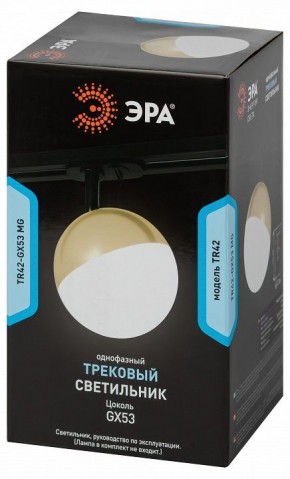 Светильник на штанге Эра  TR42-GX53 MG в Заречном - zarechnyy.ok-mebel.com | фото 6