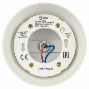 Светильник на штанге Эра  TR42-GX53 WH в Заречном - zarechnyy.ok-mebel.com | фото 5