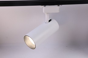 Светильник на штанге Эра  TR5-30 COB WH в Заречном - zarechnyy.ok-mebel.com | фото 2
