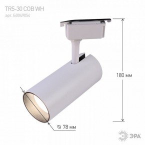 Светильник на штанге Эра  TR5-30 COB WH в Заречном - zarechnyy.ok-mebel.com | фото 6
