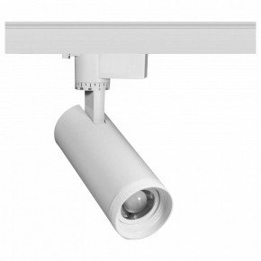 Светильник на штанге Эра  TR59 - 2030 WH в Заречном - zarechnyy.ok-mebel.com | фото