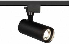 Светильник на штанге Эра  TR59 - 2040 BK в Заречном - zarechnyy.ok-mebel.com | фото