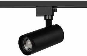 Светильник на штанге Эра  TR59 - 2040 BK в Заречном - zarechnyy.ok-mebel.com | фото 2