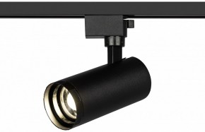 Светильник на штанге Эра  TR59 - 2040 BK в Заречном - zarechnyy.ok-mebel.com | фото 5