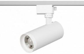 Светильник на штанге Эра  TR59 - 2040 WH в Заречном - zarechnyy.ok-mebel.com | фото 2