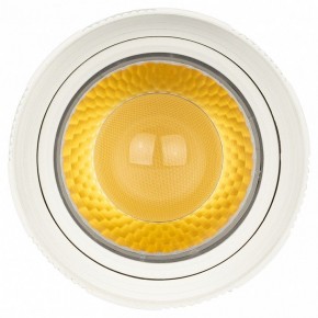 Светильник на штанге Эра  TR59 - 2040 WH в Заречном - zarechnyy.ok-mebel.com | фото 3