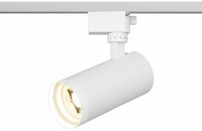 Светильник на штанге Эра  TR59 - 2040 WH в Заречном - zarechnyy.ok-mebel.com | фото 5