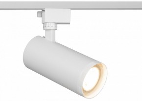 Светильник на штанге Эра  TR59 - 3030 WH в Заречном - zarechnyy.ok-mebel.com | фото