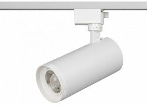 Светильник на штанге Эра  TR59 - 3030 WH в Заречном - zarechnyy.ok-mebel.com | фото 2