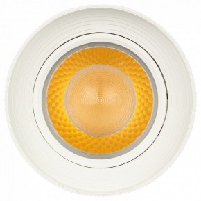Светильник на штанге Эра  TR59 - 3030 WH в Заречном - zarechnyy.ok-mebel.com | фото 3