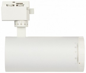 Светильник на штанге Эра  TR59 - 3030 WH в Заречном - zarechnyy.ok-mebel.com | фото 4