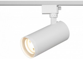 Светильник на штанге Эра  TR59 - 3030 WH в Заречном - zarechnyy.ok-mebel.com | фото 5
